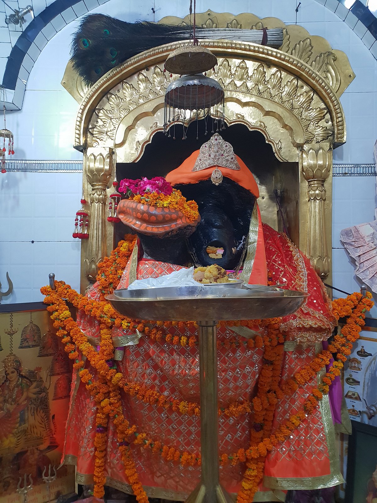 PunjabKesari Maa Kali Mandir