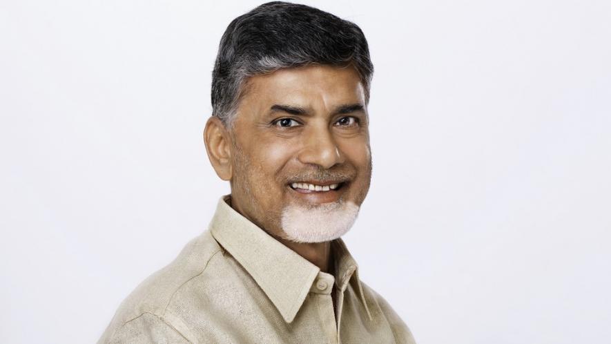 PunjabKesari,Heritage Foods,Brahmani Nara, N. Chandrababu Naidu, Nari