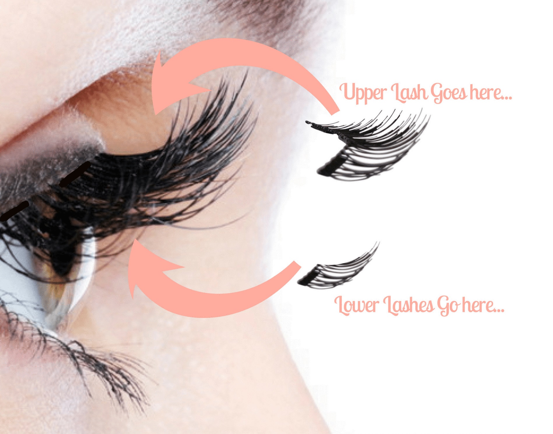 PunjabKesari, Magnetic Eyelashes Image, Beauty Trends 2019 Image