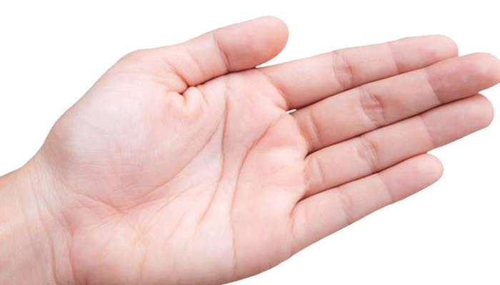 PunjabKesari, kundli tv, palm image