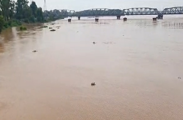 satluj river
