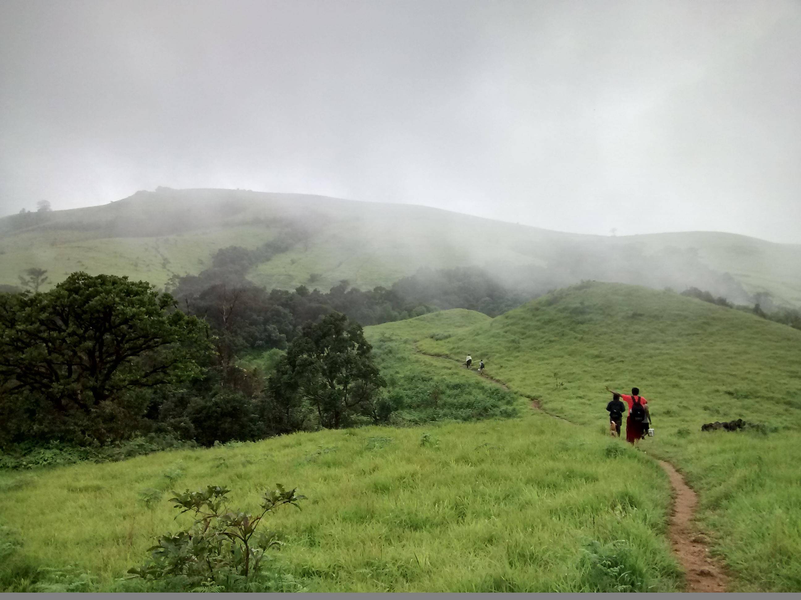 PunjabKesari, nari, Kodachadri, Karnataka image