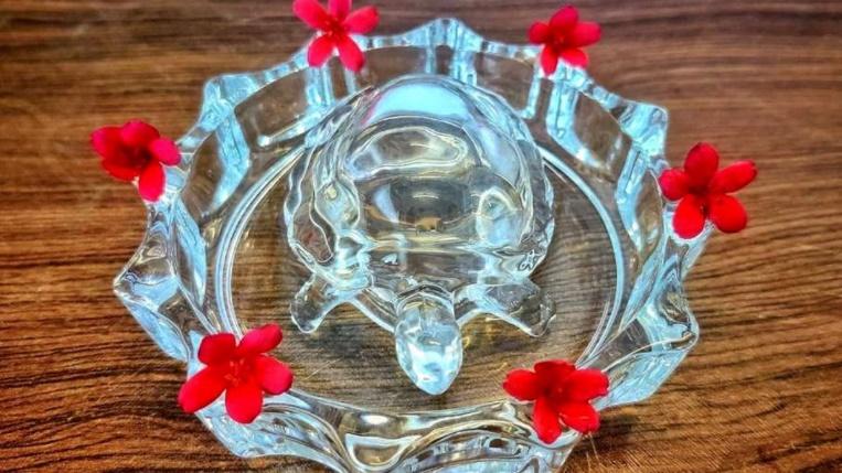 PunjabKesari Crystal Turtle Vastu Tips
