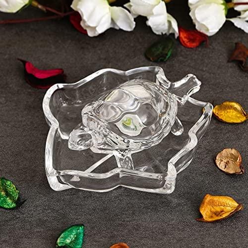 PunjabKesari Crystal Turtle Vastu Tips
