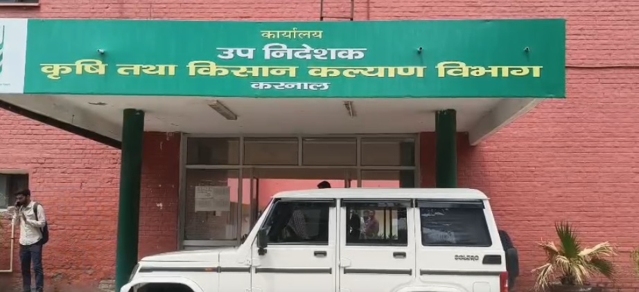 PunjabKesari