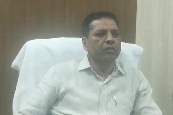 PunjabKesari, Forest, Mafia, tree, Cutting