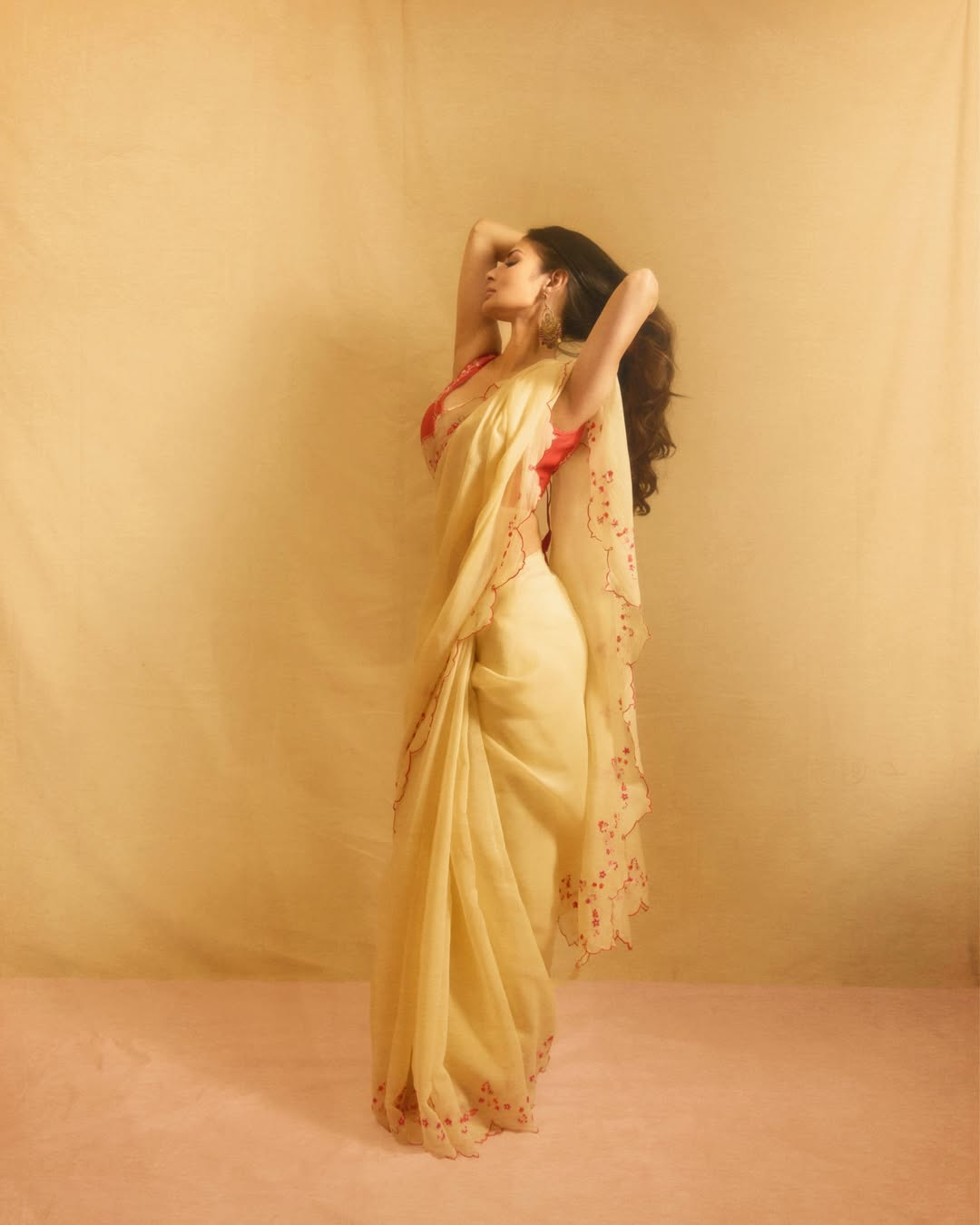 Mouni Roy Saree Look