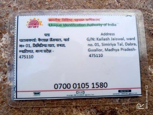 PunjabKesari, Gwalior, Dabra, Madhya Pradesh, Dog Aadhaar Card, Fake Aadhaar, Viral News, Social Media, Tommy Jaiswal, Kailash Jaiswal, Funny News, Fake ID, Aadhaar Scam, Viral Meme