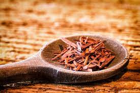 PunjabKesari Sandalwood Vastu Benefits