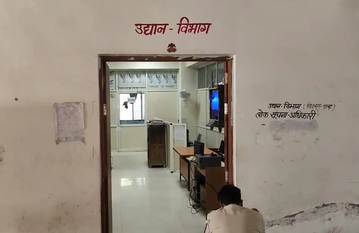 PunjabKesari