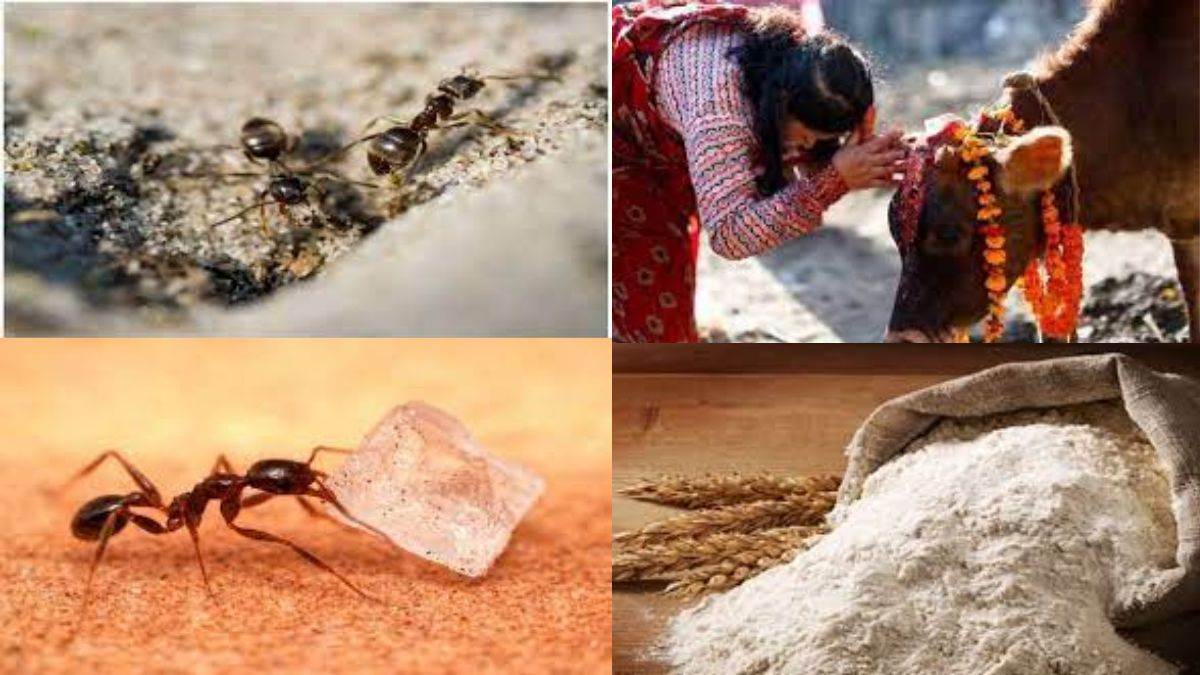 PunjabKesari Pitru Paksha