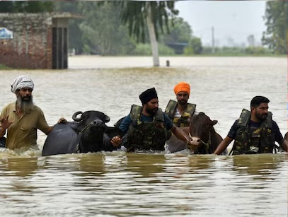 PunjabKesari