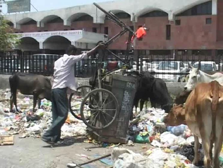 PunjabKesari, haryana hindi news, ambala hindi news, administration, monsoon, swachtha abhiyan