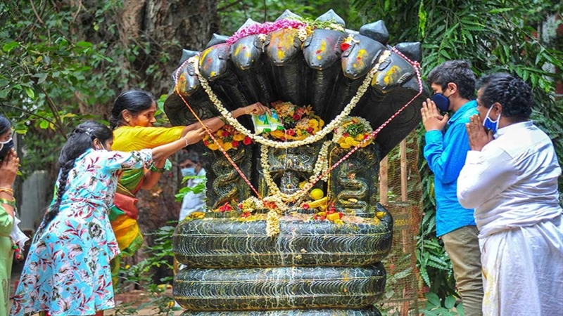 PunjabKesari Naag Panchami Mantra, Naag Devta Mantra Accrording to Zodiac, नाग पंचमी, नाग पंचमी 2022, Naag Panchami, Naag Devta, Nagdevta, Kalsarp dosh, Nag panchami 2022, Happy Nag Panchami 2022, Naag Mantra, Naag Mantra In Hindi, Mantra Bhajan Aarti in Hindi, Dharm, Punjab Kesari