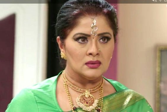 PunjabKesari, Sudha