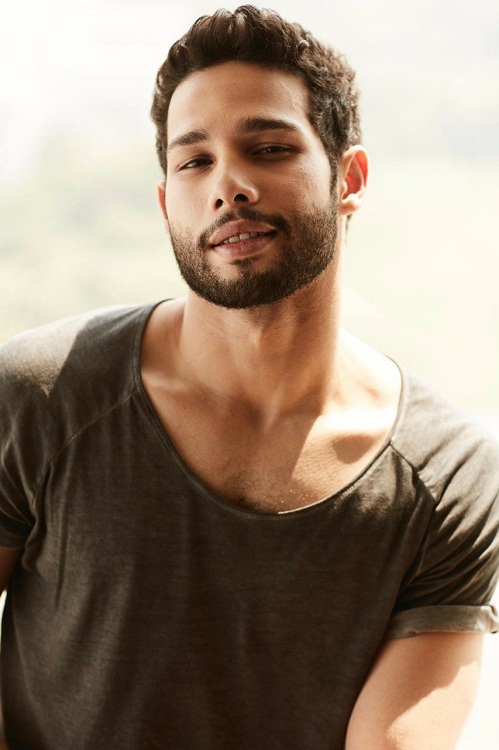 Bollywood Tadka, Siddhant Chaturvedi Images