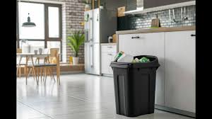 PunjabKesari PunjabKesari