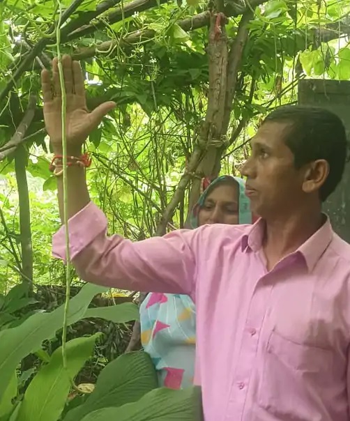 PunjabKesari, Dhamtari, Chhattisgarh, Organic Farming, Long Bottle Gourd, Giant Brinjal, Organic Vegetables, Natural Fertilizer, Healthy Food, Farmer Success Story, Agriculture Income,  