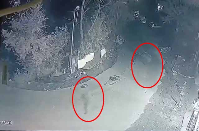 PunjabKesari, 2-terrorists-seen-in-rajouri