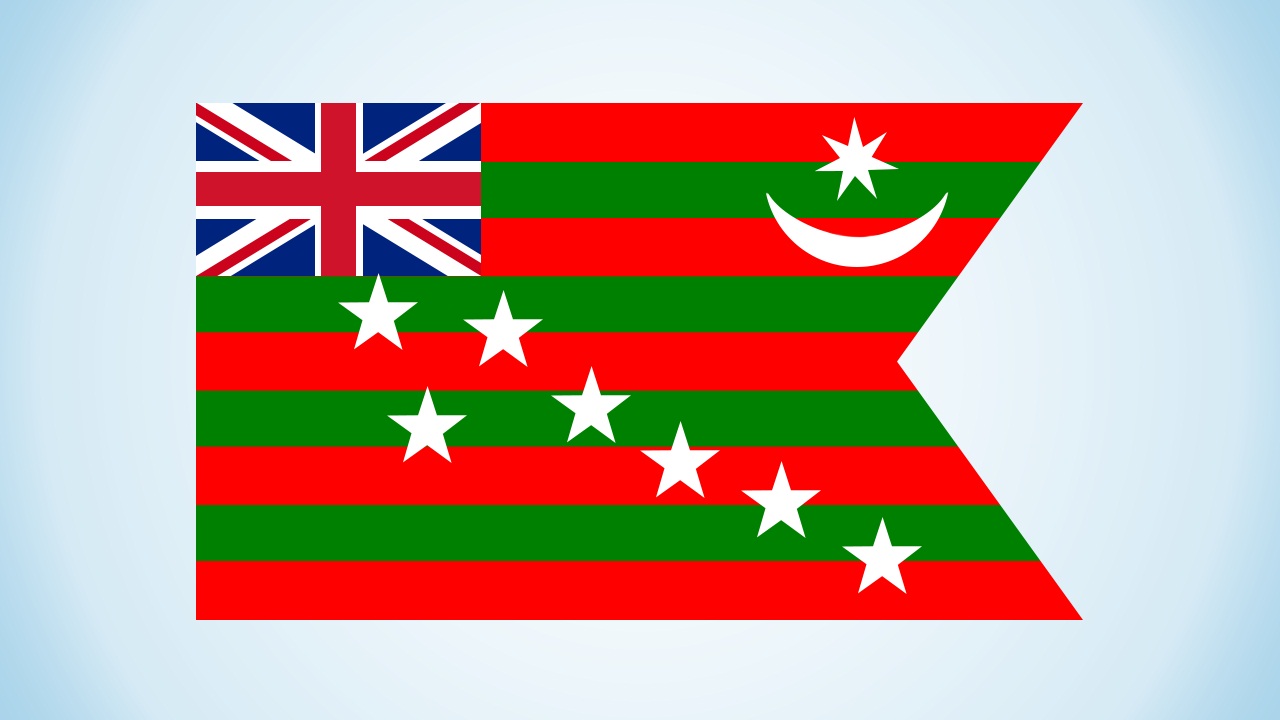 PunjabKesari, Indian flag, Nari