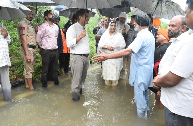 jalandhar dc 