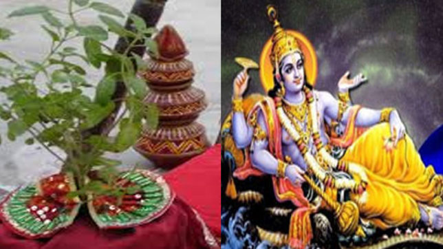 Amla Navami