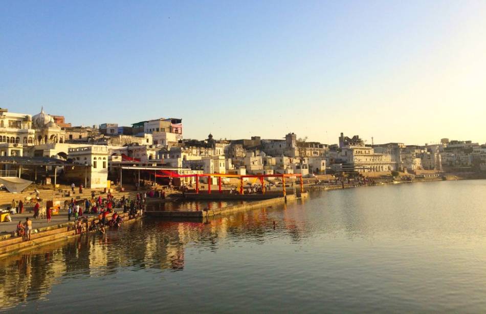 PunjabKesari Pushkar Rajasthan