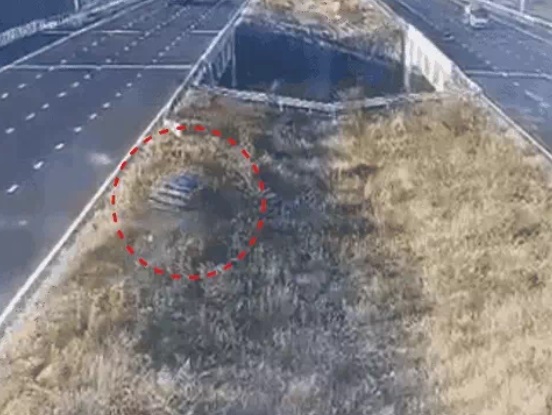 PunjabKesari, Madhya Pradesh News, MP Crime News, MP Accidents 2025, Coldrif Syrup Case, Delhi Mumbai Expressway Accident, BJP Leader Controversy, Honeymoon Murder Case, Indore Businessman Murder, Khandwa Gangrape Case, Mandsaur Accident, 19 Minuts 34 Second