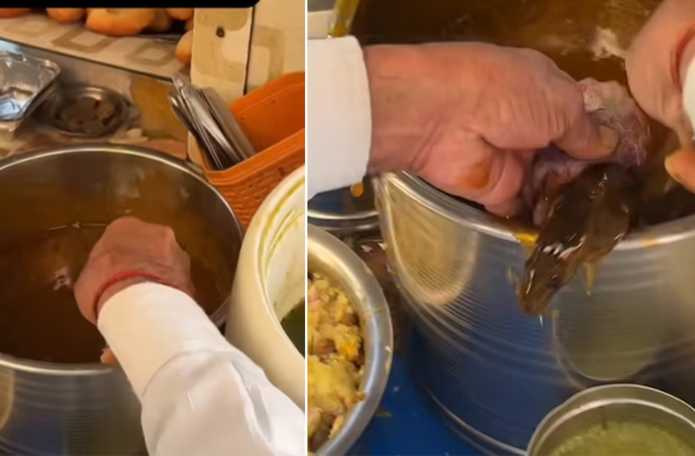 PunjabKesari, Rat in water