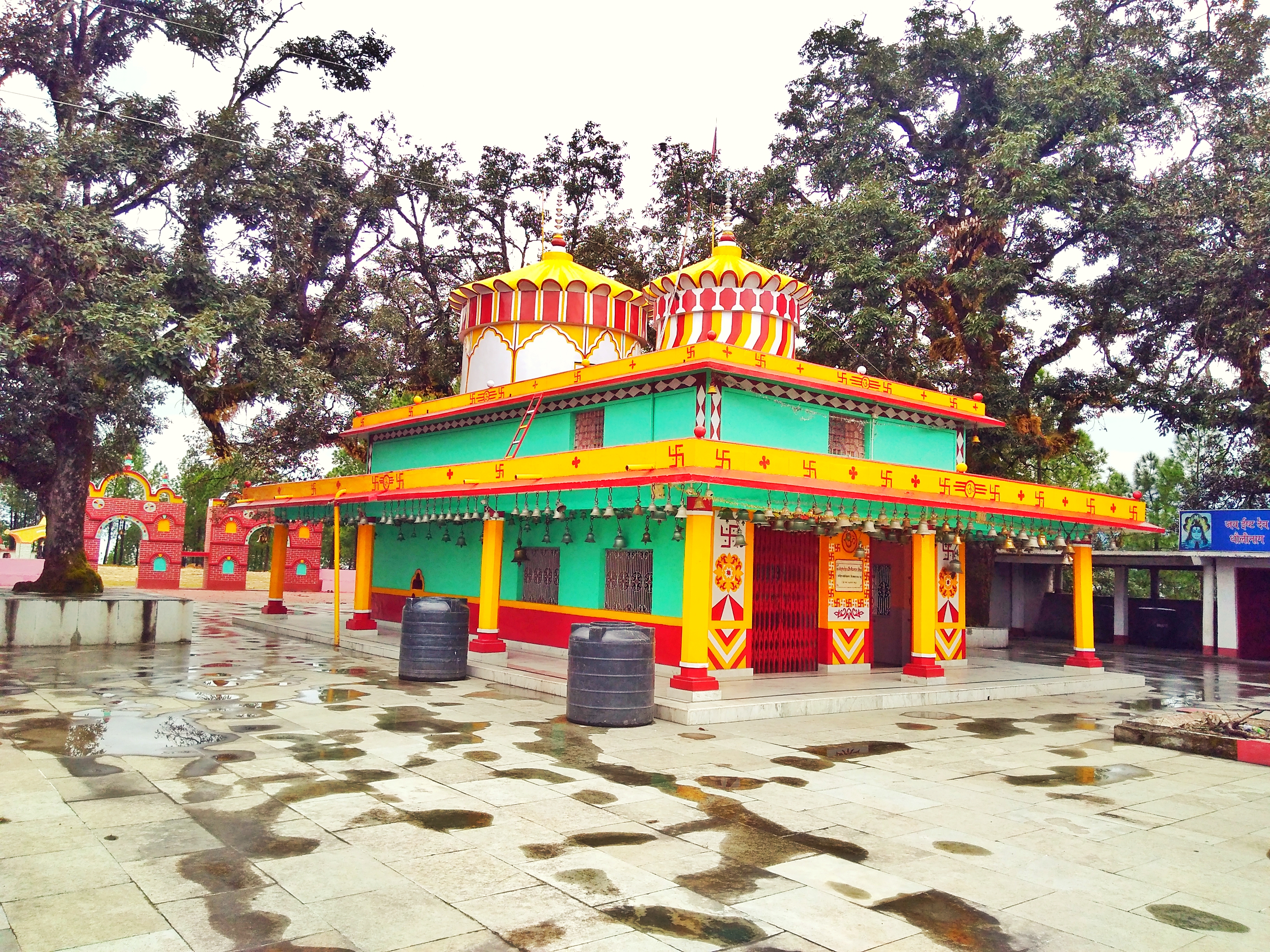 PunjabKesari, मन्नारसला श्रीनागराज मंदिर, Mannarsala Sri Nagaraja Temple