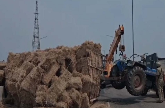 highway accident