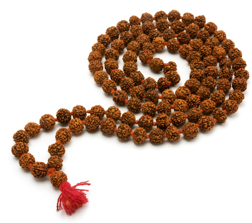 PunjabKesari, रुद्राक्ष माला, Rudraksh mala