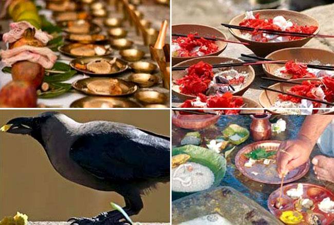 PunjabKesari, Pitru Paksha, Ancestors, Pitra paksha 2019, पितृ पक्ष, पितृ तर्पण, पिंडदान, पितृ पक्ष, Pitru paksha mantra