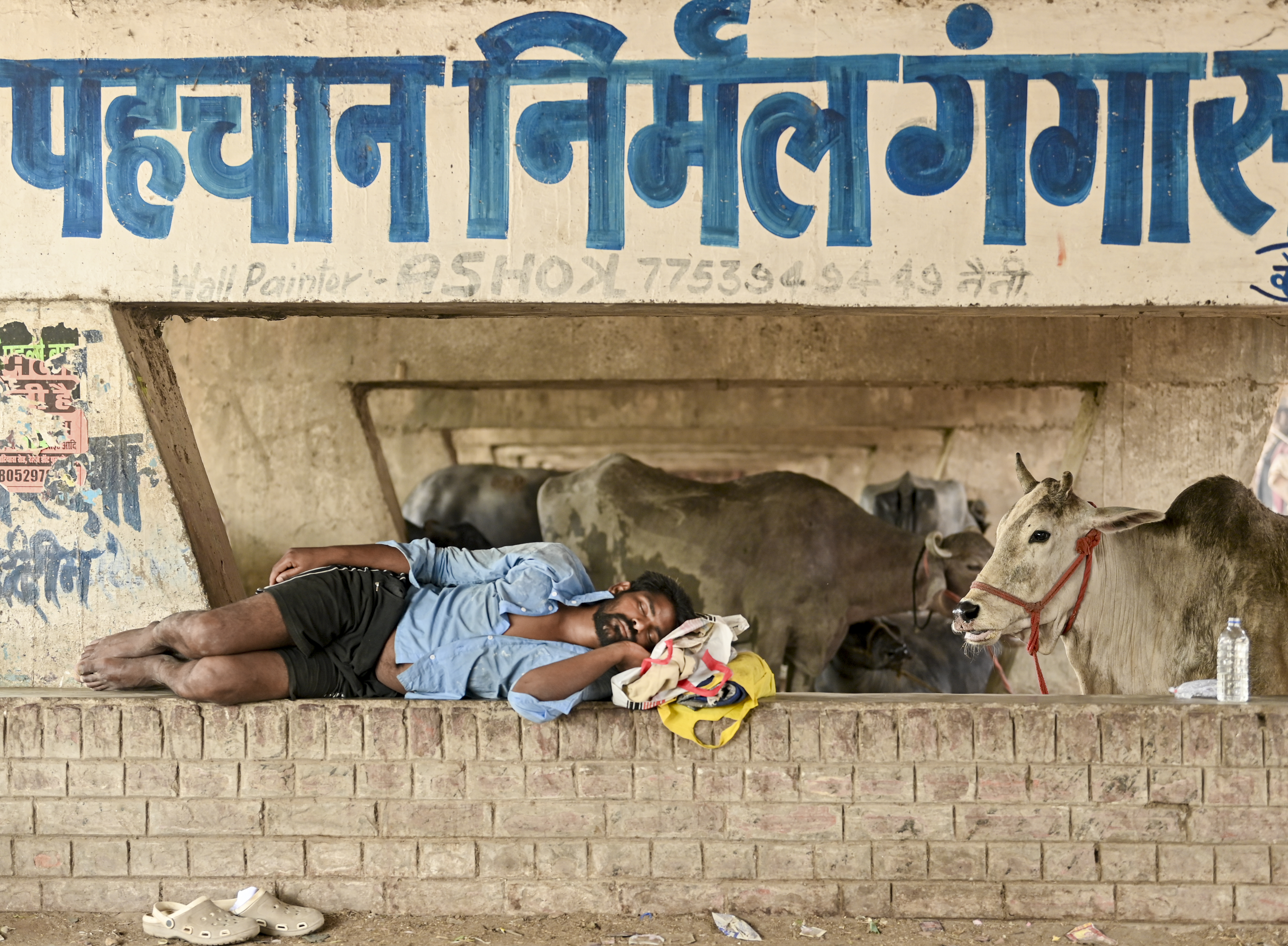 PunjabKesari