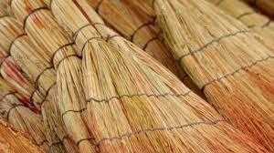 PunjabKesari Vastu Tips