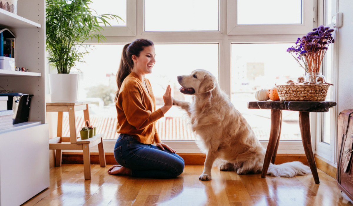 PunjabKesari Vastu Tips For Pets