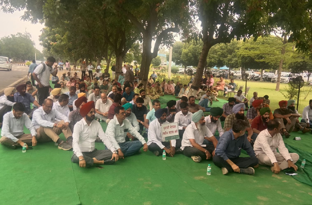 PunjabKesari, Punjab Teachers State Level Protest