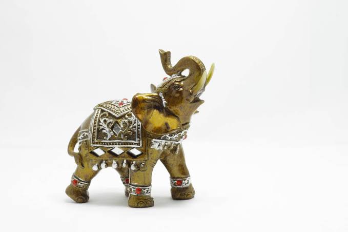 PunjabKesari, Feng Shui elephant