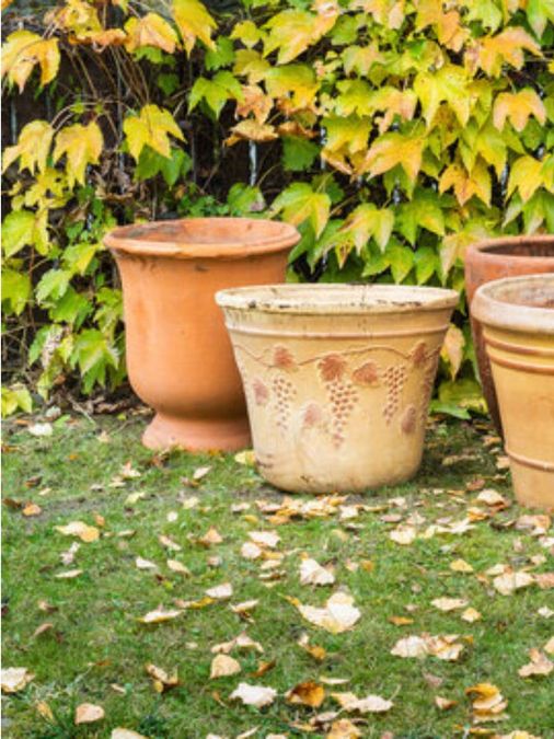 PunjabKesari Vastu Tips