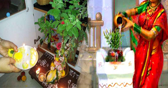 PunjabKesari, kundli tv, tulsi pujan