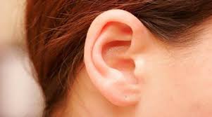 PunjabKesari Ear Shape Personality
