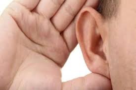 PunjabKesari Ear Shape Personality