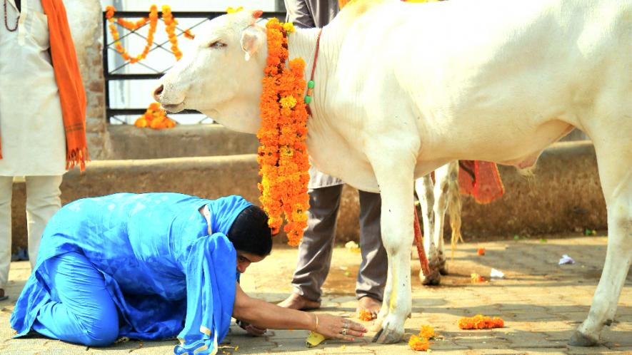 PunjabKesari, kundli tv
