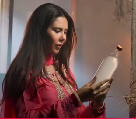 PunjabKesari