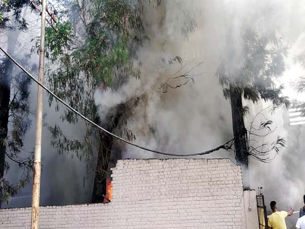 PunjabKesari, Fire Image