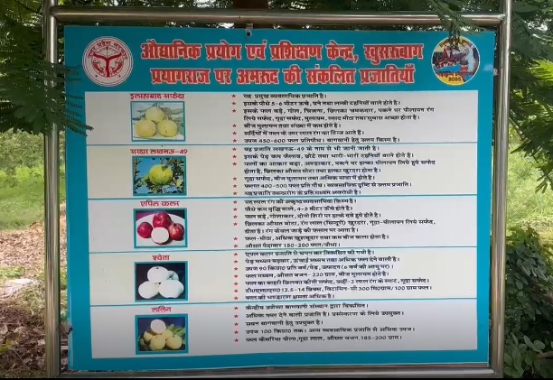 PunjabKesari