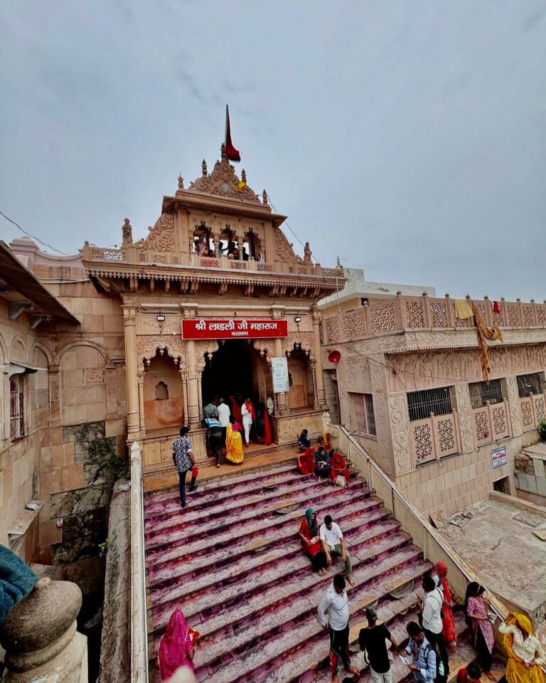 PunjabKesari Vrindavan