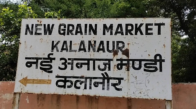 PunjabKesari, haryana