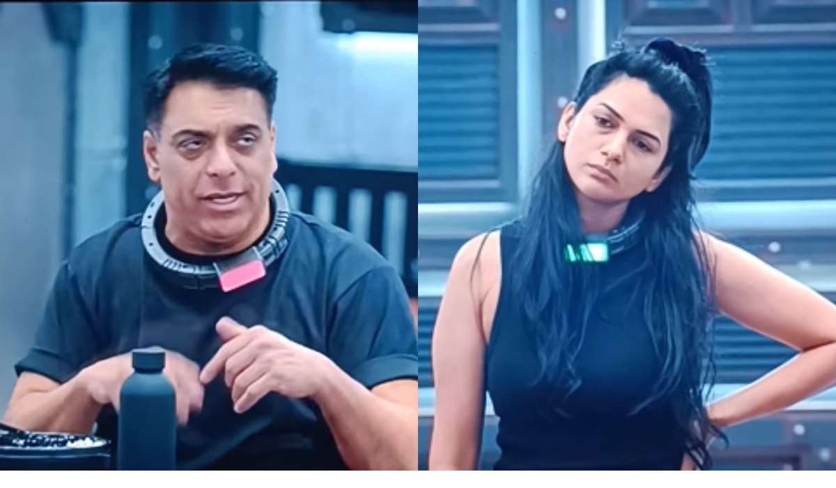Akanksha Chamola Pregnancy 