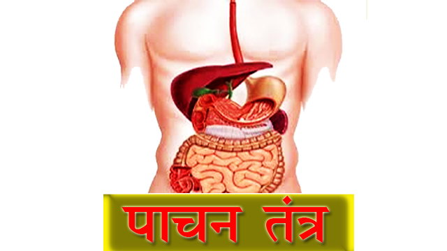 PunjabKesari, पाचन तंत्र, Digestive system